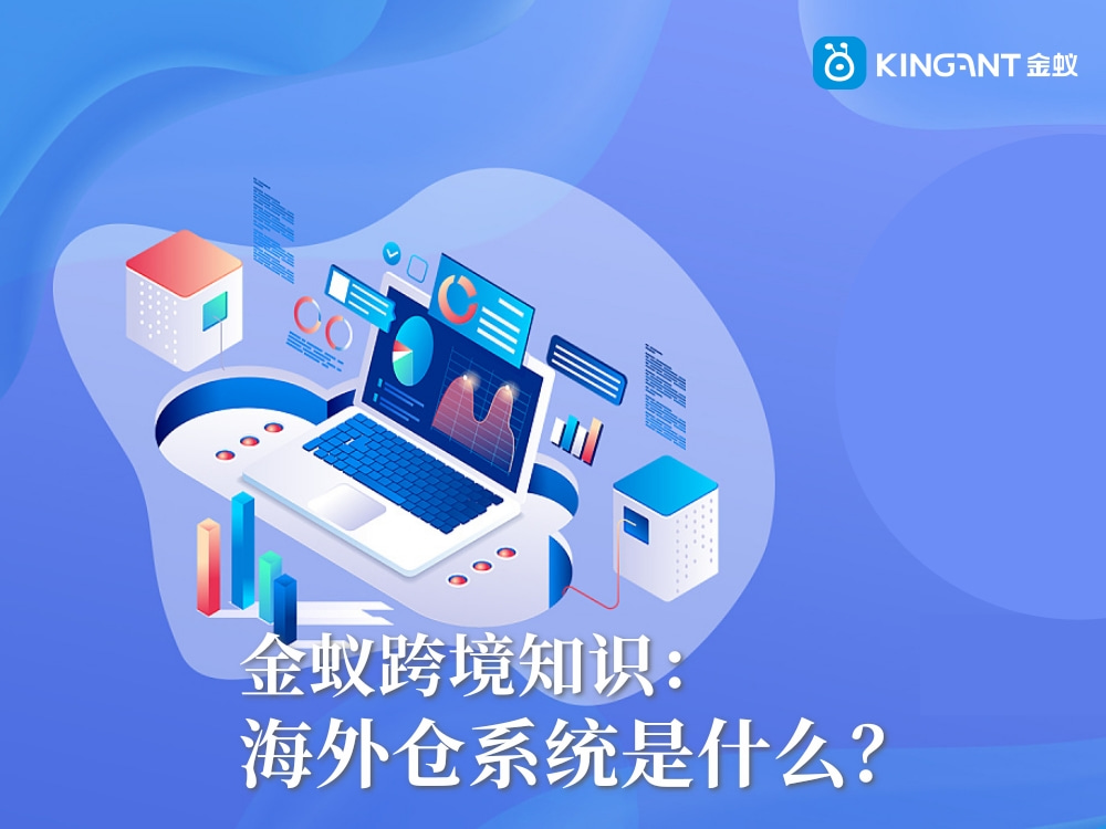 海外倉系統(tǒng)是什么？